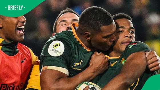 Man of the match mix-up mars Springboks’ big win over England at Ellis Park