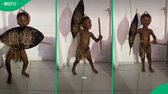 “Get this him on TV”: Mzansi adores young boy’s 'Shaka iLembe' reenactment video on Instagram