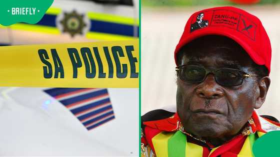 1 Person in critical condition after shooting at Hyde Park house of Robert Mugabe's son