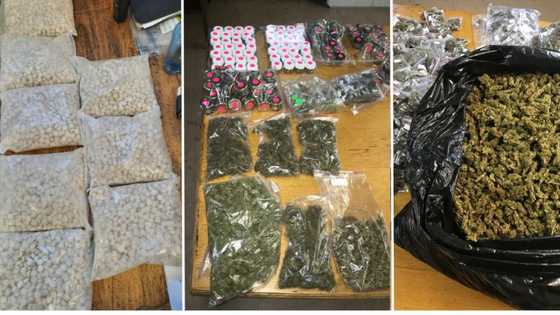 R1.14m Massive drug busts made, R500k dagga in Durban, R640k mandrax in Bloemfontein