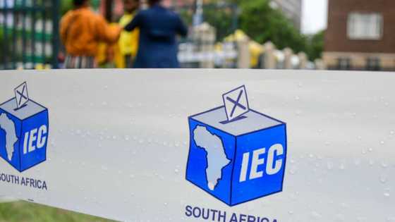 Push for postponement of by-elections at electoral court, ﻿IEC announces