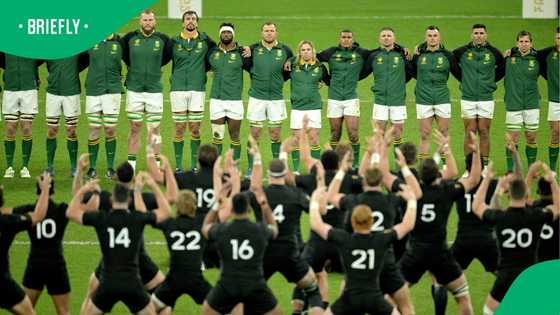 Springbok jersey warning emerges as Bee row erupts ahead of All Blacks tour
