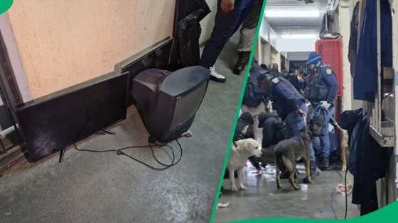 PlayStation found in raid at Sun City prison as officials sweep cells, SA dumbfounded: "Yi film!"