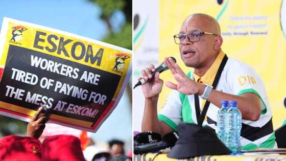 ANC spokesperson Pule Mabe slams opposition parties' call for national shutdown against loadshedding