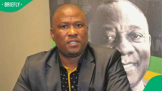 Eastern Cape court rules against SIU probe into Oscar Mabuyane's degree, South Africans debate