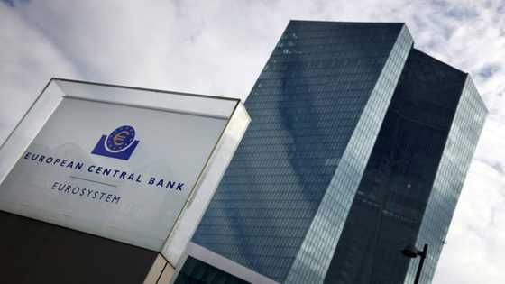 ECB slows rate hikes, but says inflation still 'too high'