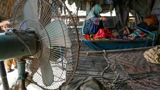 Heatwaves will make regions uninhabitable within decades: UN, Red Cross