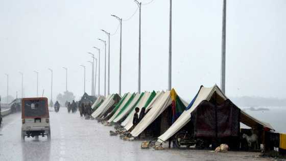 Pakistan's south braces for deluge from swollen northern rivers