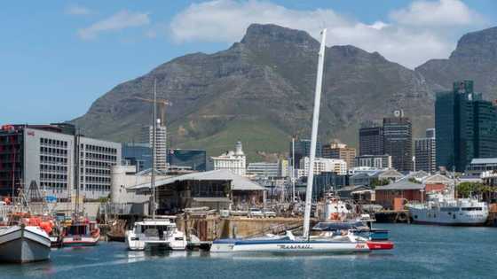 Cape Town named perfect remote work hotspot, skilled workers are invited