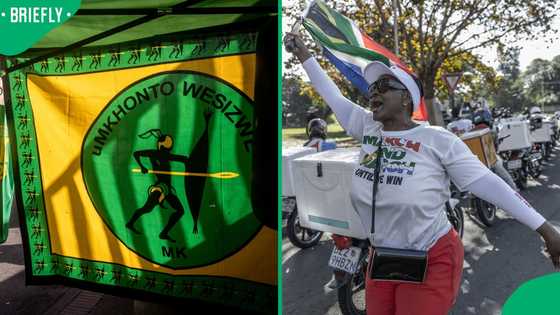 MK Party distances itself from March and March, backs movement's concerns over illegal immigration