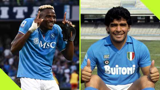 Osimhen and Maradona first four seasons at Napoli compared