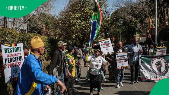 Operation Dudula protests at Zimbabwe embassy in Johannesburg after activist's arrest