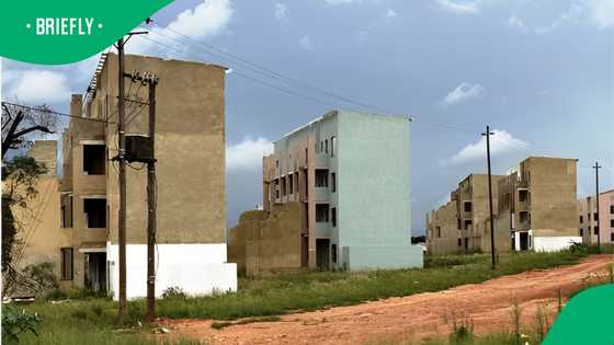 Gauteng Department of Human Settlements blames collapsed Montrose building on crime