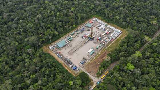 Ecuador says vote to halt Amazon oil drilling a 'terrible precedent'