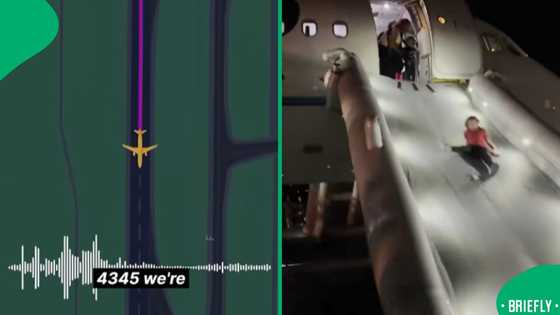 Frontier Airlines plane strikes and kills person during terrifying takeoff