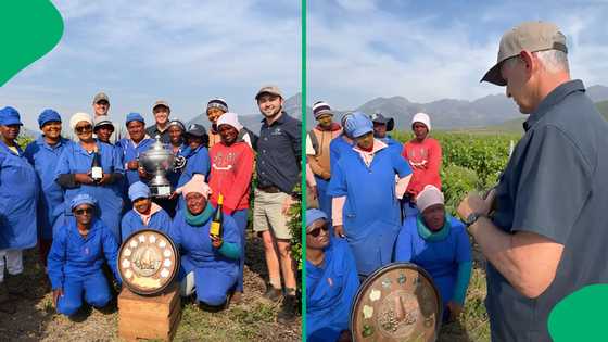 "Lovely gesture": SA wine farm boss honours female vineyard workers after prestigious award win