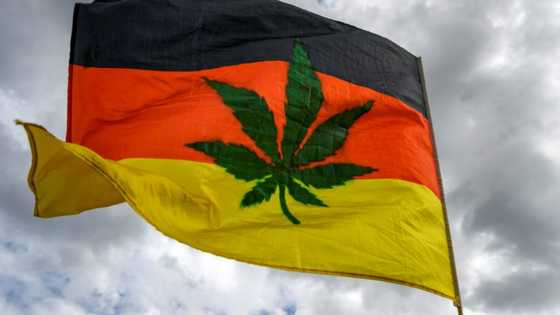 Germany agrees plan to legalise recreational cannabis