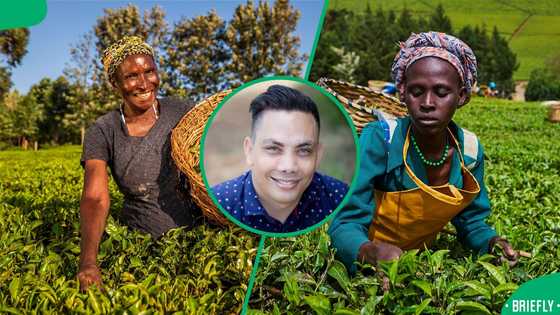 Adapting to climate change, securing SA’s food future