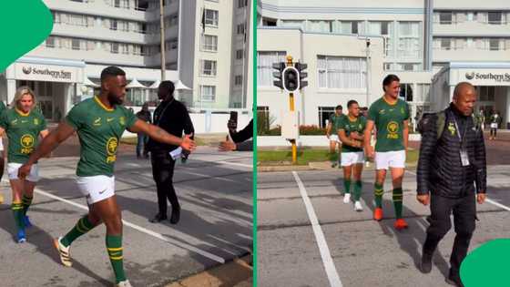 "The big boys are in town": Boks get a warm welcome from Gqeberha fans before Barbarians game