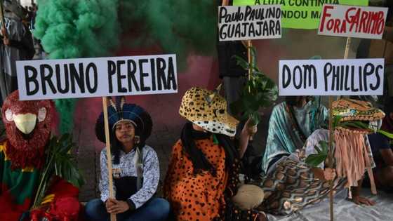 Police say British journalist and Brazilian guide shot in Amazon killings