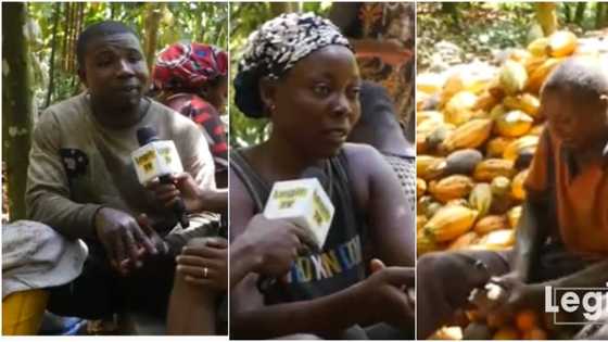 Farming husband & wife tell their inspirational story: It wasn’t easy