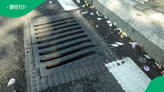 “Unacceptable”: Municipal worker sweeping rubbish into drain leaves Durban residents fuming