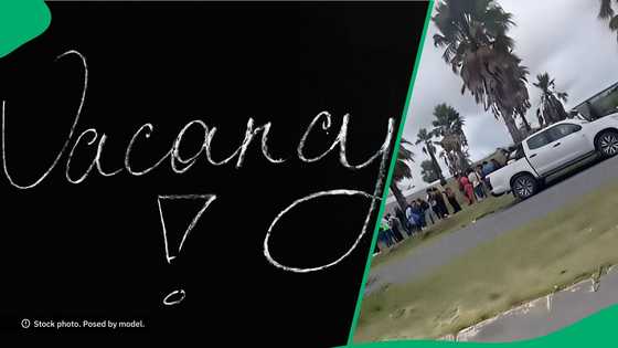 1 minimum wage job post draws massive crowd in TikTok video