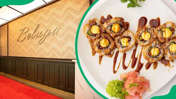 Beluga Cape Town's menu and latest prices for 2025