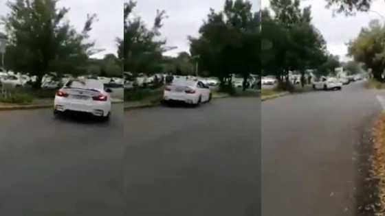 BMW driver tries to show off, crashes into pavement and tree instead: "Same mielie meal bag as Polo drivers"
