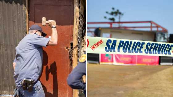 Major bust leads to discovery of dagga laboratory at Elarnoskraal, R760k worth of plant confiscated