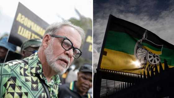 Carl Niehaus’ proposed political movement will pose no threat to ANC, political analyst claims