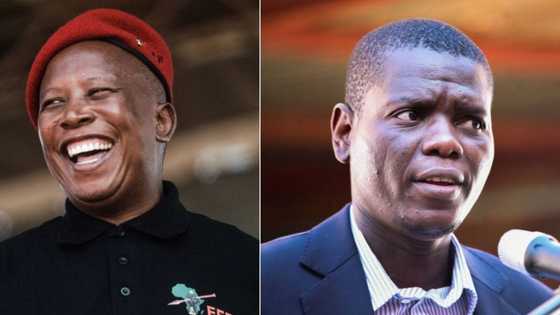 Julius Malema believes Ronald Lamola is cutting in line for ANC leadership and needs to wait