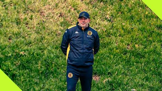 Sundowns star, Bafana Bafana forward, other players Kaizer Chiefs can sign for Nabi in January