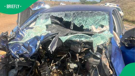 Fatal single-vehicle crash on R21 claims life of Gauteng man