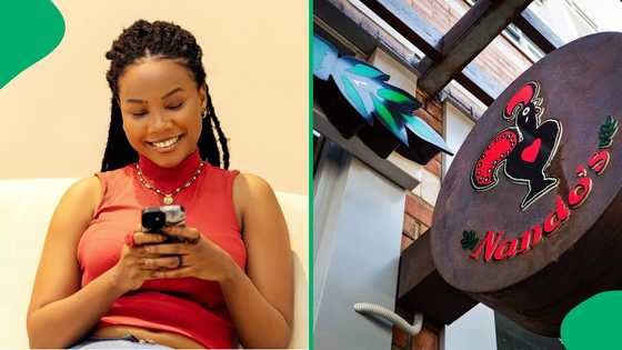 "Nando's is champion": Nando's pokes fun at Steers after viral video of employees gardening video