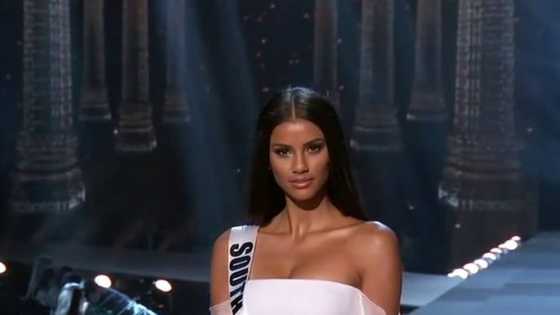 Tamaryn Green husband, parents, doctor, height, ring, net worth