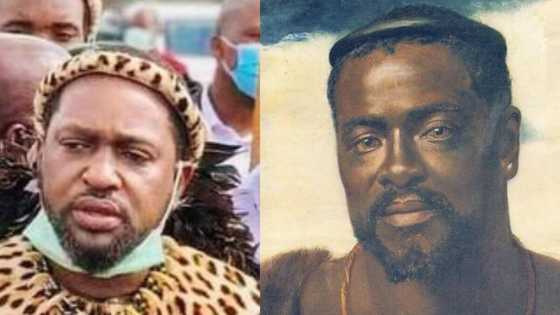 "Replica of King Cetshwayo": Fikile Mbalula compares Prince Misuzulu Zulu to famous king