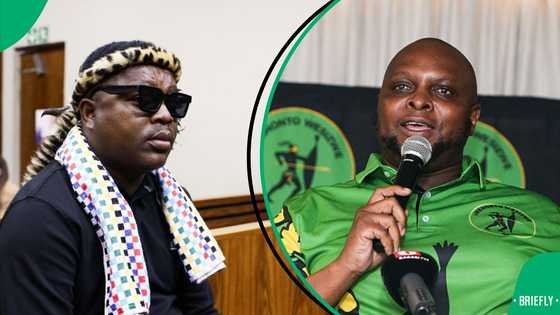 Ngizwe Mchunu advises Floyd Shivambu: "Do not insult Jacob Zuma's kids"