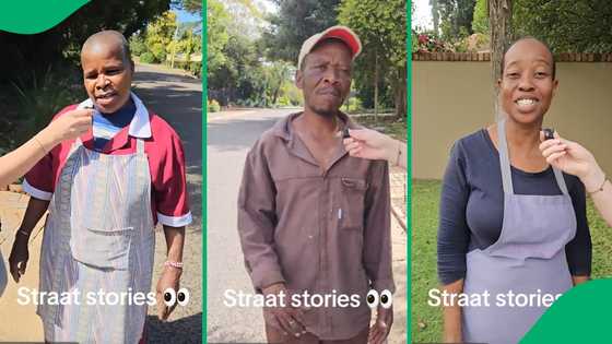 "Love the content": Domestic workers make funny confessions about bosses, SA entertained