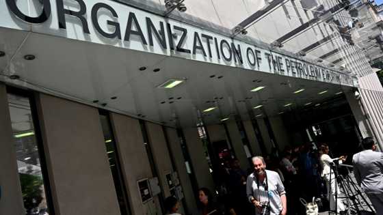 OPEC+ weighs fresh production cuts to rein in weak prices