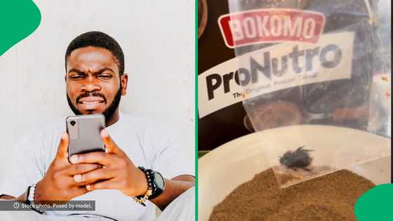 Women finds live dung beetle inside ProNutro cereal, South Africans fear more disturbing cases