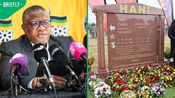 Fikile Mbalula calls for calm and respect after altercation at Chris Hani's wreath-laying ceremony