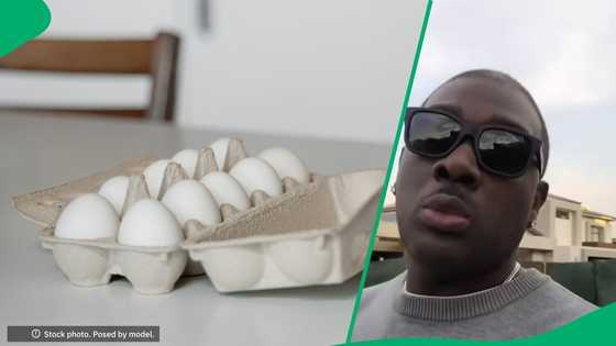 "We thank our farmers": American amazed by South African eggs in TikTok video
