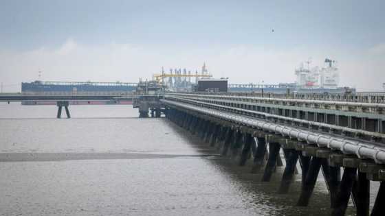 Germany to cut the ribbon on first LNG terminal