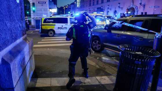 Two killed, 14 wounded in Oslo, Norway shooting