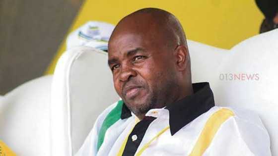 ANC Mpumalanga chairperson Mandla Ndlovu appointed by executive committee as member of provincial legislature