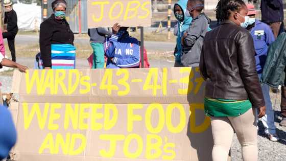 Analysis: South Africa's high unemployment rate, where is it heading?