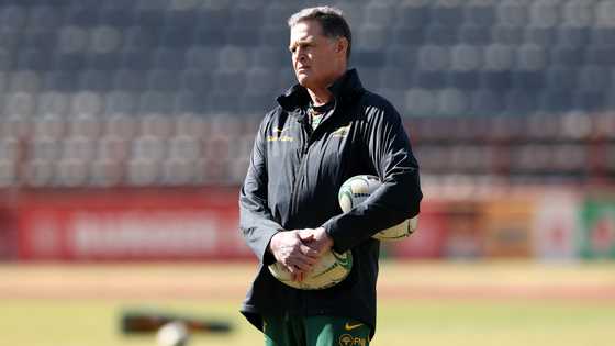 Rassie Erasmus names four players who impressed in Springboks' Wales win