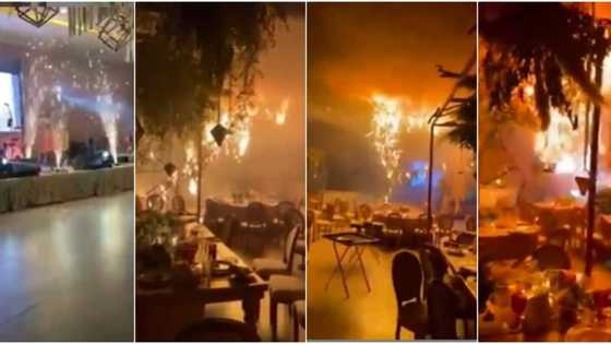 Commotion as fireworks disrupt couple's wedding, clip has people busting