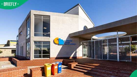 "Too good to be true": SA private school offering R0 tuition and 99% Matric pass rate stuns Mzansi
